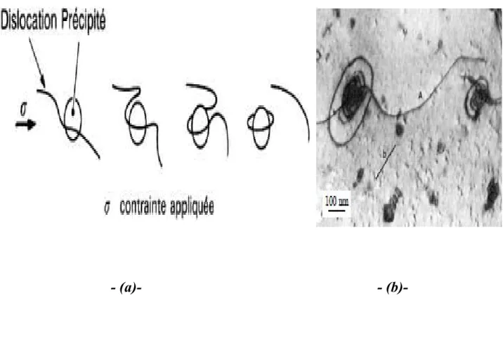 Fig. I. 13 : Contournement des précipités par les dislocations : 
