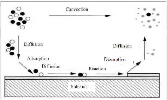 Figure I.2 : Illustration des diverses étapes du procédé CVD.