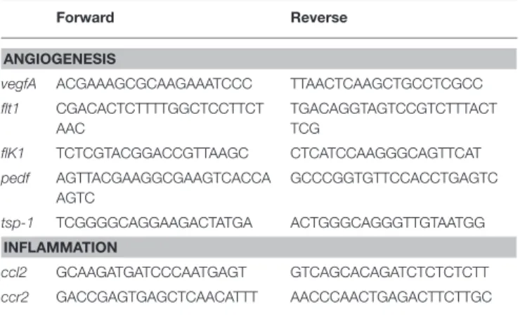 TABLE 3 | List of primers forward and reverse used for Q-PCR experiments.