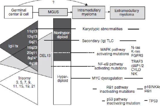 Figure 12 : Les mécanismes de développement de MM [253]. 