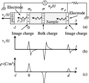 Figure 1: Principle of the PEA method. (a) Charged  regions give rise to acoustic waves under the effect  of a pulsed field