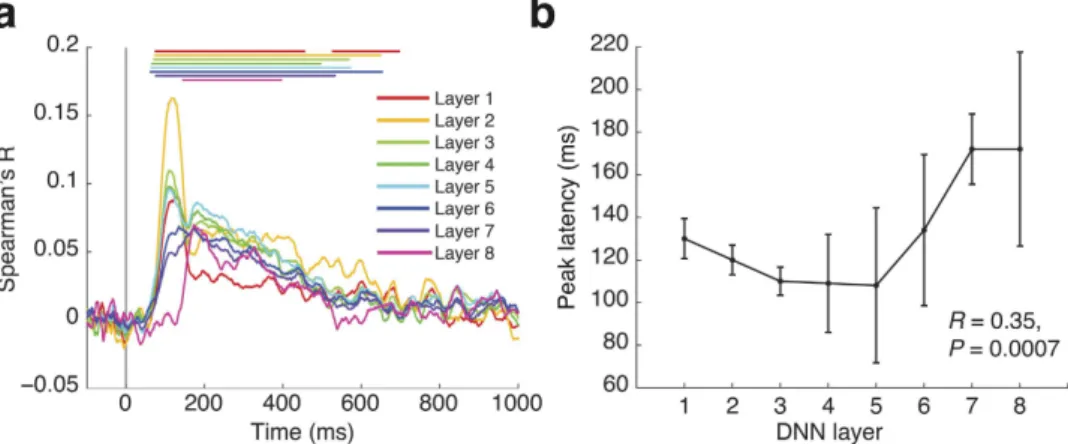 Figure 3.  Representations in the object DNN correlated with emerging visual representations in the human  brain in an ordered fashion