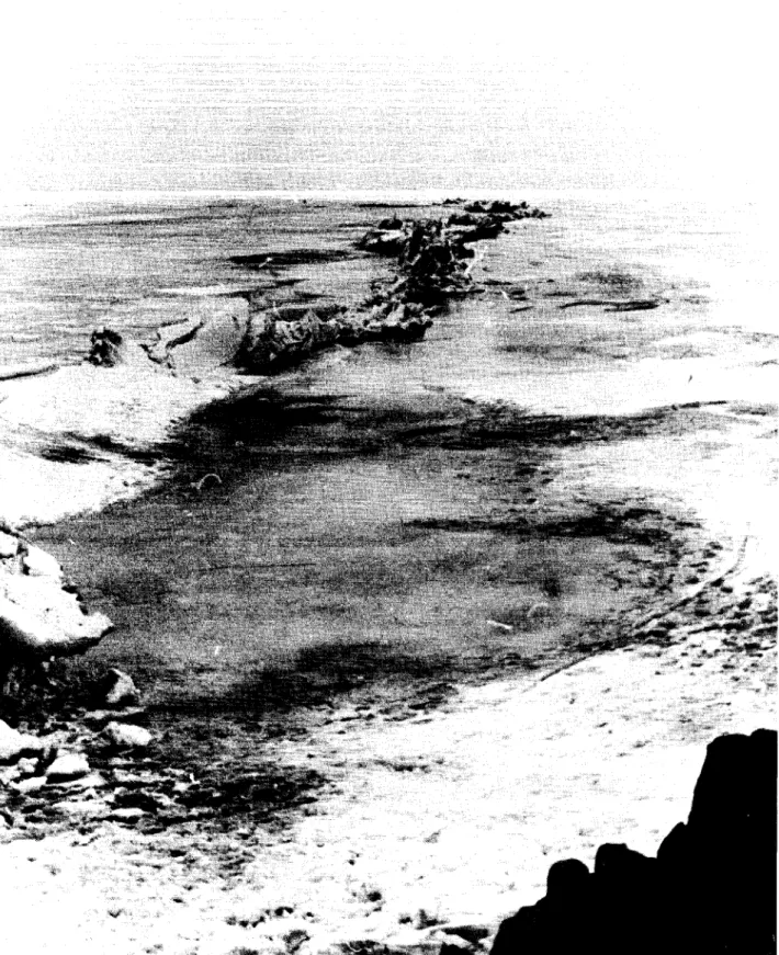 FIGURE 40 PRESSURE RIDGES (15 FEBRUARY 1968)