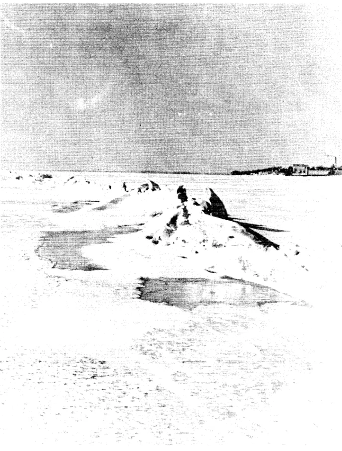 FIGURE 4b PRESSURE RIDGES (29 FEBRUARY 1968)
