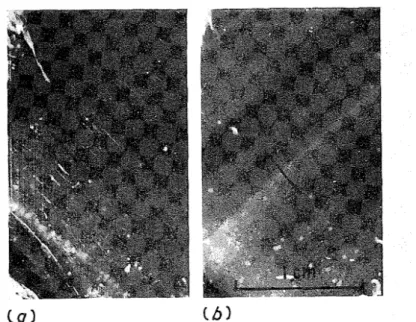 Figure  10.  ( a )   Vapour  figures produced  by  internal  melting  indicate the direction  of slip planes