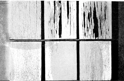 Figure  3-Cracking  and  peeling  produced  by  cycle  of  three  days  of  water  immer-  sion,  three  days  of  drying  in  twin  carbon  arc  Weatherometer