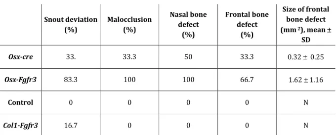 Table  1:  Fgfr3  activation  in  immature  OBs  and  hypertrophic  CCs  affects  the  craniofacial skeleton 