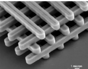 Figure I -19: Structures tas de bois : Images MEB d'une structure fabriquée par lithographie UV  dans du silicium ( Lin et al)