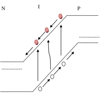 Figure I.4  Effet avalanche : une paire électron-trou photocréée génère d’autres paires  par ionisation par impact