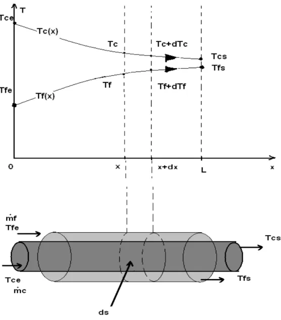 Figure 4.6- Evolution des températures du fluide chaud et du fluide froid le long d’un échangeur co-courant.