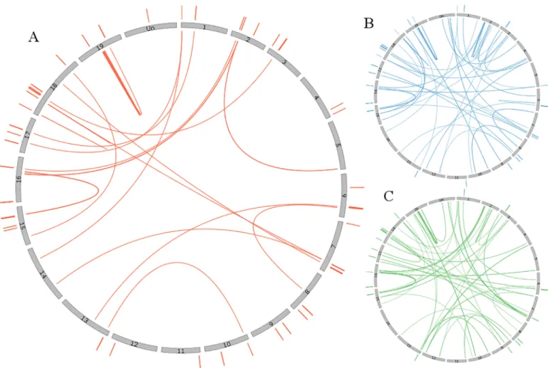 Fig 3. Similarity of the P450 genes between and within clusters. For each circle, the grey bars correspond to the 19 grape chromosomes and the “Unknown chromosome”