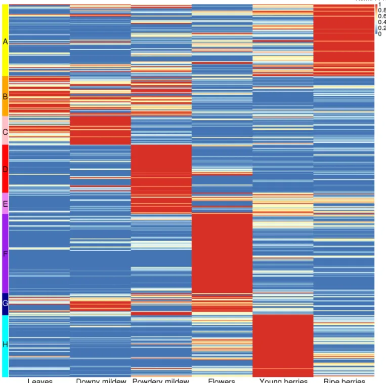 Fig 5. Heatmap of the P450 sequences, clustered according to their expression profile