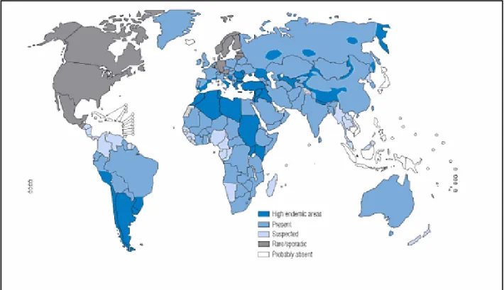 Figure 7. Distribution de l'échinococcose kystique dans le monde (WHO, 2010) 