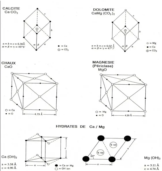 Fig. 3.4-Mailles élémentaires des principaux carbonates, oxydes et hydroxydes de Ca et de  Mg (Lauwers-Lhoist, 1992)) 