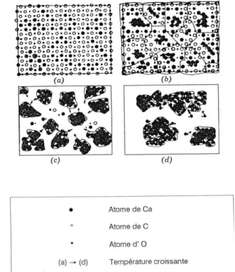 Fig. 3.6- Représentation schématique du processus de frittage dans une chaux CaO - 