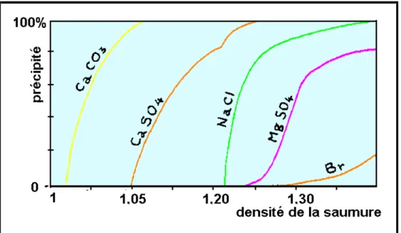 Fig. 12: masse de sels précipités dans une saumure en cours d'évaporation. 