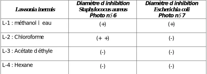 Tableau N°12 -Activité antibactérienne de Lawsonia inermis  