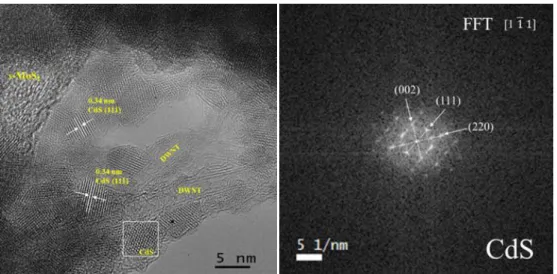 Figure S2C: Left: A typical HR-TEM image of CdS/DWNT/s-MoS 2 , the marked areas rich in  compound(s) were confirmed by EDX; Right: Selected area of CdS nanoparticle with 