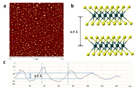 Figure  S5  Atomic  force  microscopy  (AFM)  image  analyses  for  the  fresh  chemically  exfoliated s-MoS 2 - refer to reference  6  (a, AFM image of spin coated s-MoS 2  and b, a model  of 2-H MoS 2  structure perpendicular to c axis, 100 flakes is sca