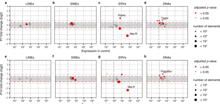 Fig. 4 Expression of the mammalian apparent LTR retrotransposons (MaLR) endogenous retroviral elements (ERV) are downregulated in growing Tbpl2 −/− mutant oocytes