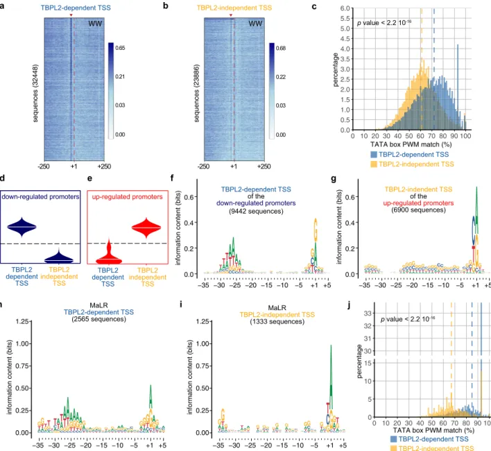 Fig. 5 Core promoter regions of TBPL2-speciﬁc transcription units in postnatal day 14 oocytes are enriched in TATA-like elements and are sharp