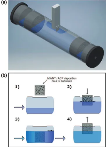 Fig. 1. Schematic illustration of a water interfacial contact line moving over a deposition consisting of clean MWNTs and ACPs (amorphous carbon particles) as well as MWNTs with ACPs solidly attached