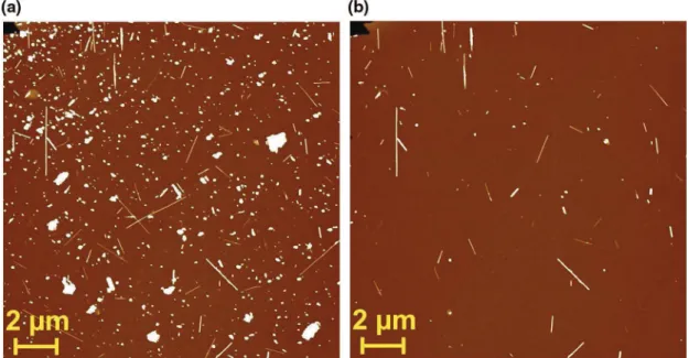 Fig. 4. Bar chart summarizing the results of our experiments on detachment of MWNTs and the ACPs in response to interfaces of plain water, 1 M KCl solution and 0.01 M HCl solution (pH = 2) with three diﬀerent immersion velocities