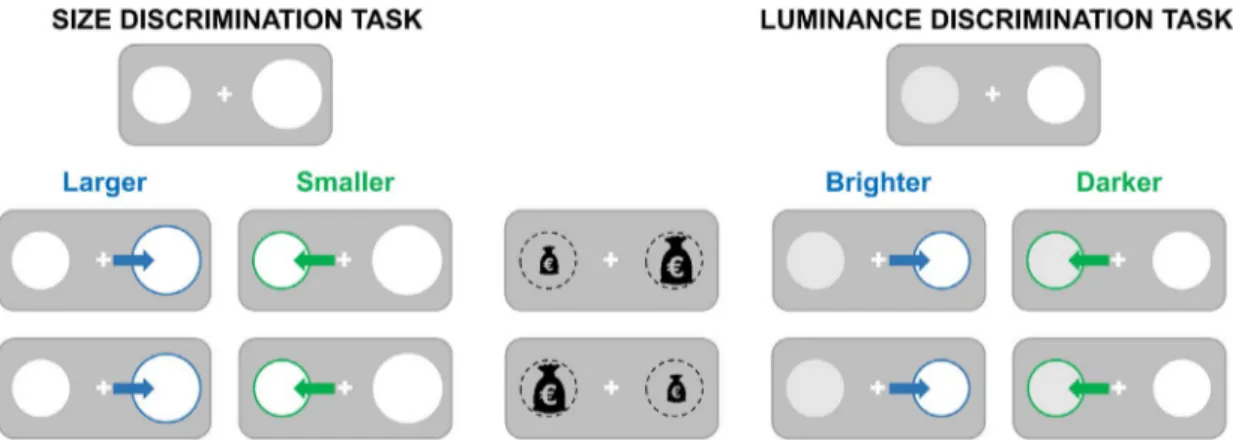 Figure 2. Experimental design. For both the size discrimination task (left) and the luminance discrimination task (right), participants performed four distinct sessions