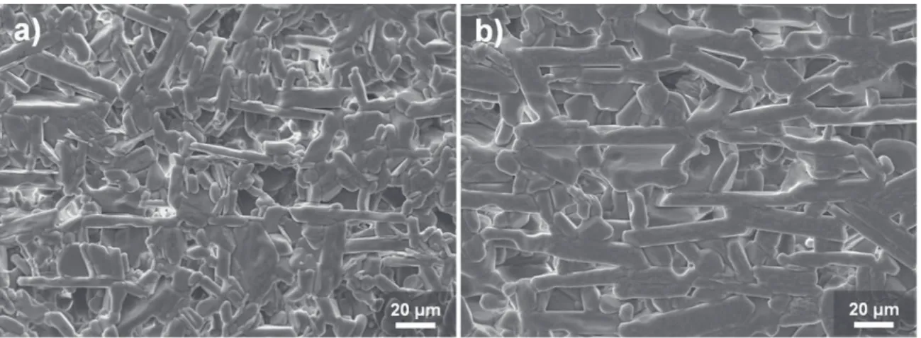 Fig. 3. SEM micrographs of (a) 5Fe5LP and (b) 10Fe5LP samples sintered at 1600 ◦ C for 2 h.