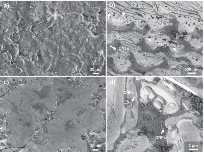 Fig. 6. SEM micrographs of 10Fe1LP (a, b) and 10Fe5LP (c, d) after CCVD process. (b) and (d) are higher magnification images of the corresponding samples.