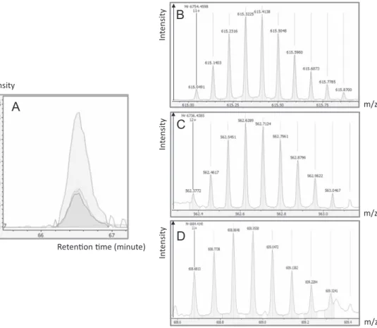 Fig. 1. Clusterin proteoforms identiﬁcation (CLUS-01, CLUS-02, CLUS-03). A: Extracted Ion Chromatogram of 615.0491m/z (CLUS-01), 562.3772m/z (CLUS-02), 608.6813m/z (CLUS-03)