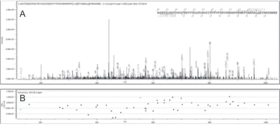 Fig. 2. Clusterin proteoform Clus-01 identiﬁcation on MS/MS spectra with Byonic™. A: Annotated MS/MS spectra by Byonic™.