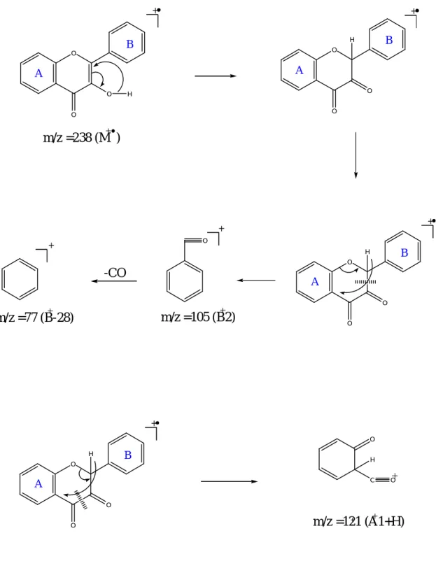 Figure -17 - Principales ruptures sur le flavonol. 