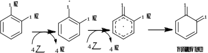 Figure 7 : Piégeage des ROS (R · ) Par les flavonoïdes 