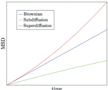 Figure 3. Typical MSD curves of the different diffusion types.