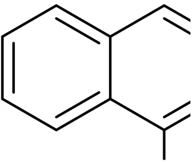 Figure 08: Ligands utilisés dans diverses réactions d'aminations 