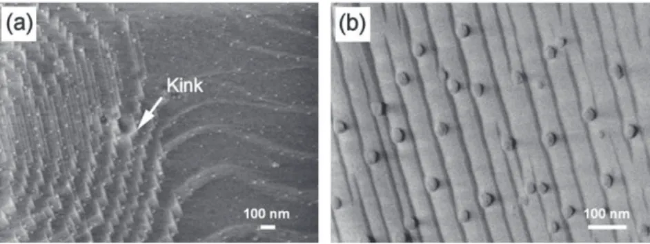 Fig. 1 shows the scanning electron microscopy (SEM) images of the Fe-doped Al 2 O 3 substrates, which were exposed to 100% H 2 atmosphere at 1000 °C
