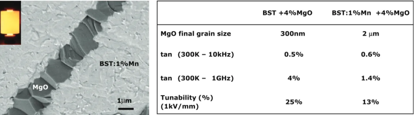 Fig. 6. SEM image of the fracture of BST:1%Mnþ4%MgO sintered by SPS and influence of Mn doping on the dielectric characteristics of the composites