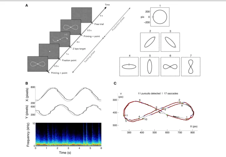 FIGURE 2 | (A) Left: time course of a trial in production phase. After showing the randomly chosen pattern for the trial (1 among 7), a dot is shown following 2 loops of the pattern for 3 s each, followed by 2 s with solely the flickering texture