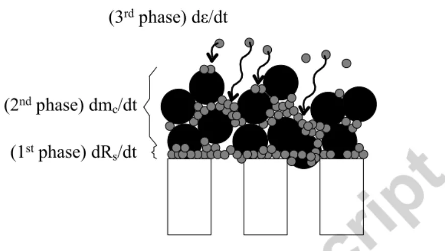 Figure 5: The three fouling mechanisms considered in the proposed model  During filtration phase, the model is given by the following set of equations:  