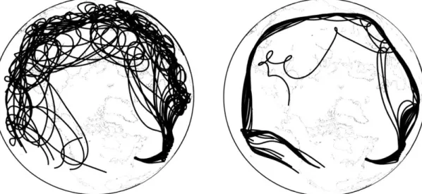 Figure  3-3:  Left:  Twenty  five  trajectories  calculated  with  the  frictionless  dynamic model