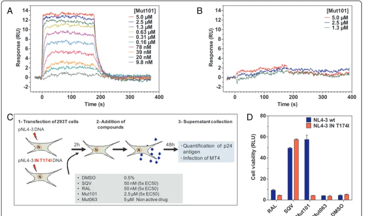 Figure 7 Binding to IN-CCD wt, T174I mutant, treatment during production of wt and T174I mutant viruses