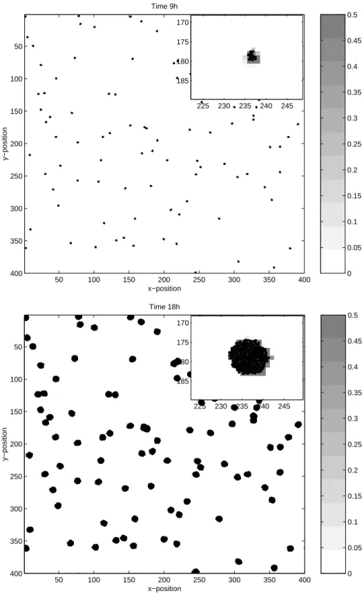 Fig. 5 Overall and zoomed view of the spatial pattern formed by the bacteria (black dots) and the  excreted macromolecules (gray scale) for immotile bacteria at time 9 and 18 hours 