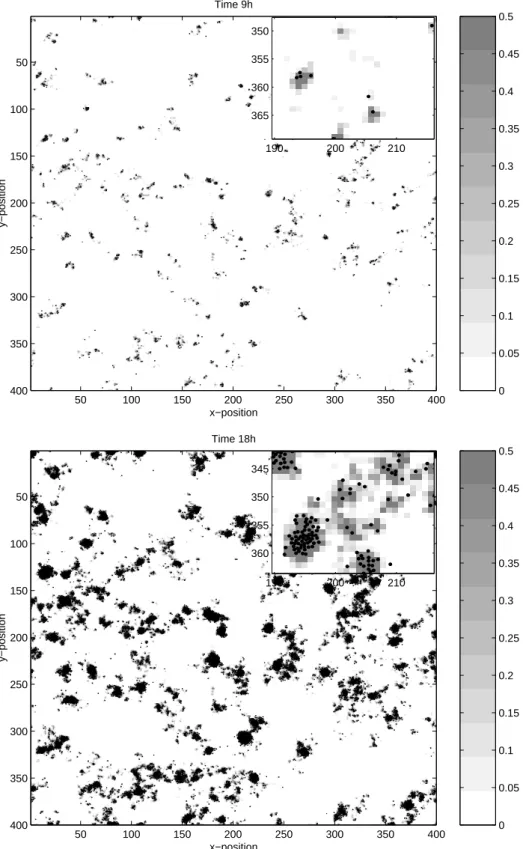Fig. 7 Overall and zoomed view of the spatial pattern formed by the bacteria (black dots) and the  excreted macromolecules (gray scale) for motile bacteria for β = 500 at time 9 and 18 hours 