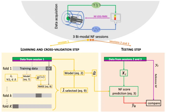 Figure 2. Machine learning scheme. For each subject, a bimodal neurofeedback session (NF-EEG- (NF-EEG-fMRI session 1 here) is used for the learning step, then the learned activation pattern αˆ is apply to the other sessions (2 and 3) for the testing step