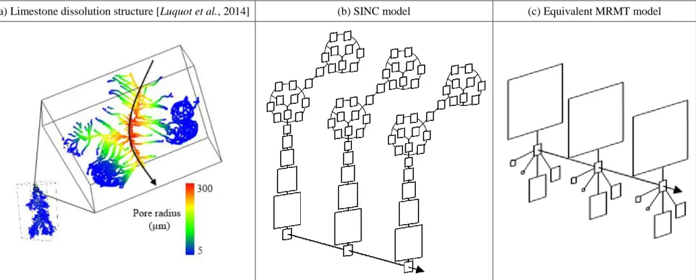 Figure 1: (a) Skeleton of a dissolution feature in an oolitic limestone, observed by X-ray micro-tomography [Luquot et al., 2014]