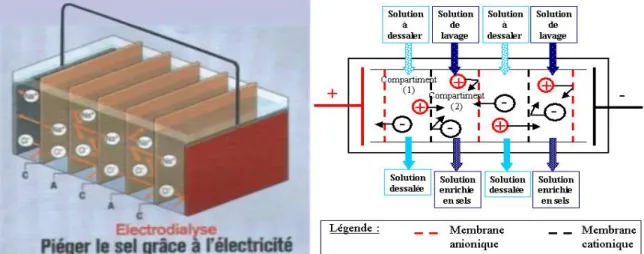 Figure II.2- L’électrodialyse 