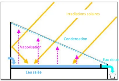 Figure II.9- Principe de la distillation solaire à effet de serre. 