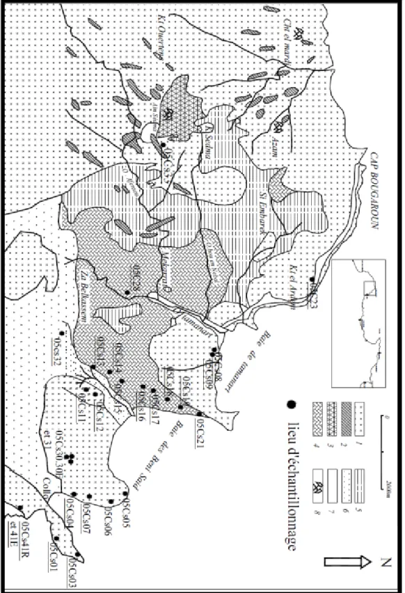 Fig. 11 : Carte géologique simplifiée de la région de Collo et du Cap Bougaroun et du bassin du  l’Oued Tamanart (d’après Roubault., 1934, modifiée)