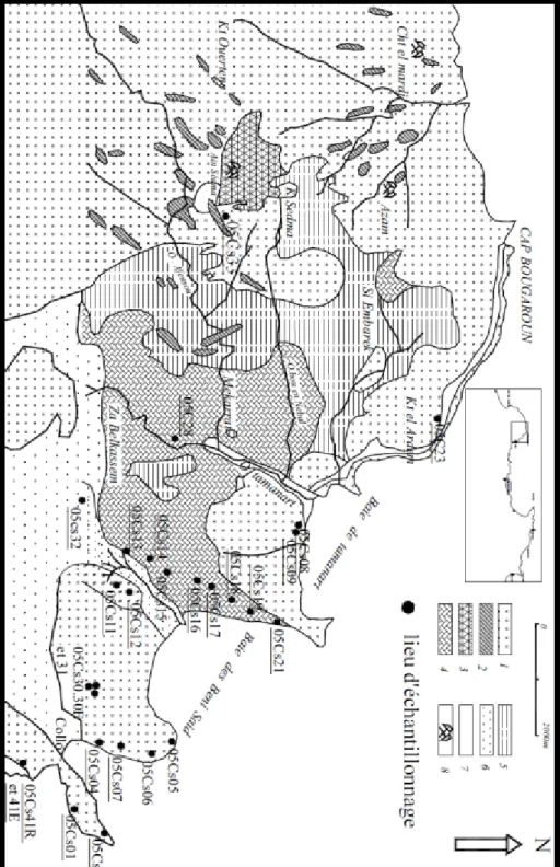 Fig. 13 : Carte géologique simplifiée de la région de Collo et du Cap Bougaroun et du bassin du  l’Oued Tamanart (d’après 